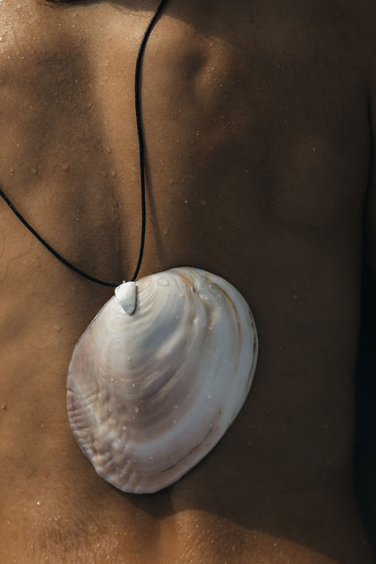 Shell belt X SLOAN