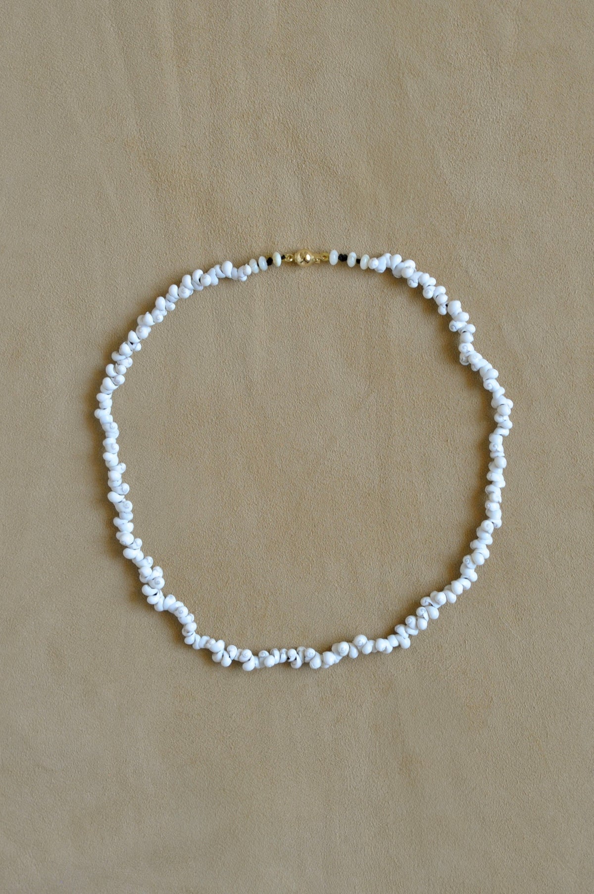 Tiny Shell Necklace | White