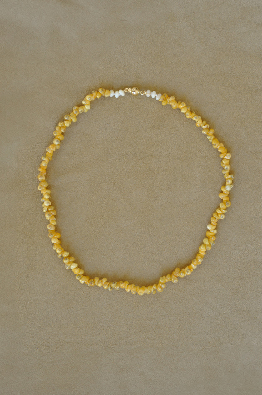 Tiny Shell Necklace | Yellow